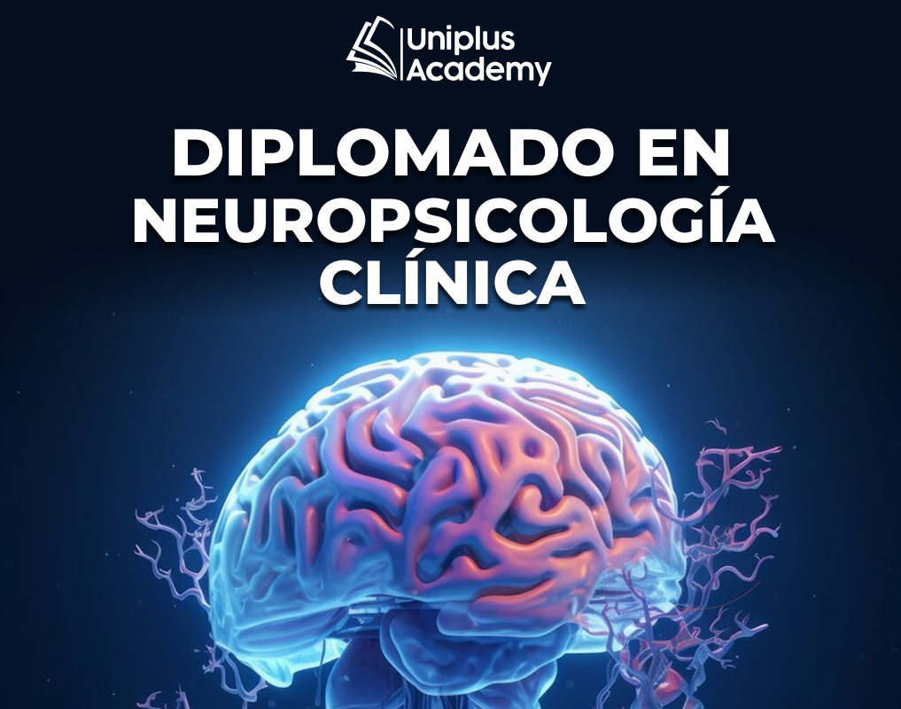 Neuro Clínica